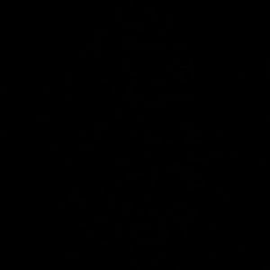 Meet your Posher, Mari